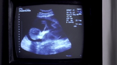 蝴蝶效应剧照的剧照