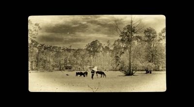 本杰明·巴顿奇事剧照的剧照