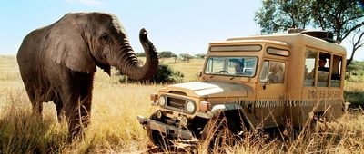 徒步旅行队剧照的剧照