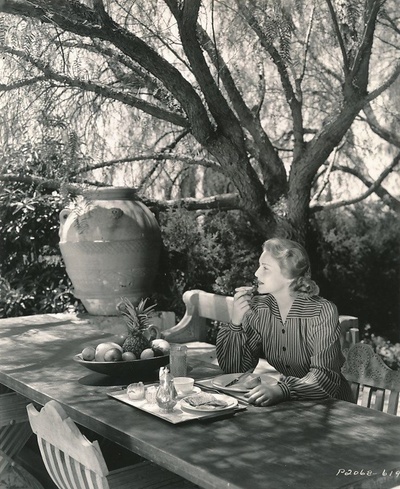 骑军血战史剧照的剧照