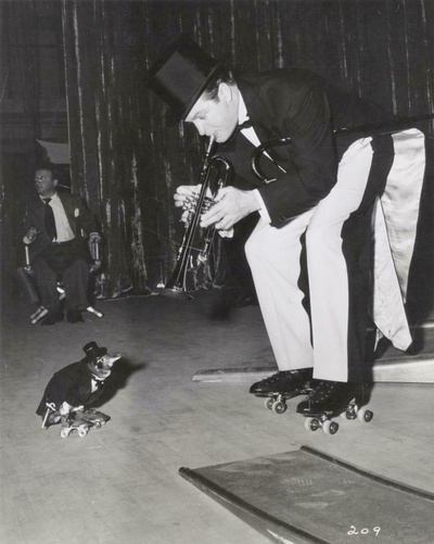 最爱金发女郎剧照的剧照