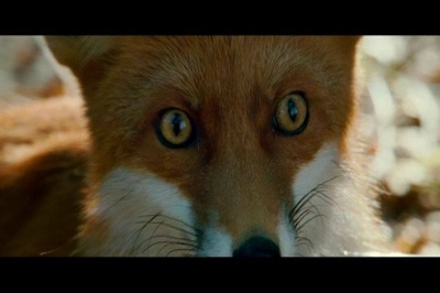 狩猎聚会剧照的剧照