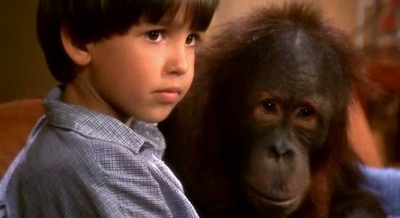 小猴当家剧照的剧照