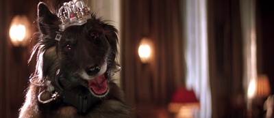 少年特工科迪2剧照的剧照