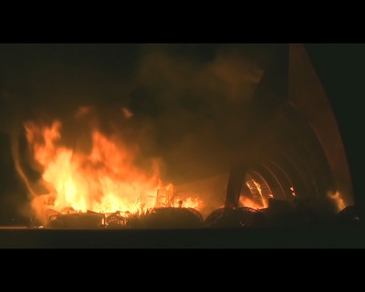 情系斯波克剧照的剧照