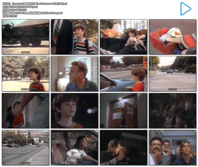 宠物卫士剧照的剧照