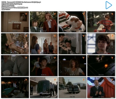 宠物卫士剧照的剧照