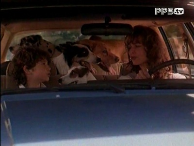 宠物卫士剧照的剧照