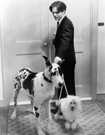 小生护驾剧照的剧照