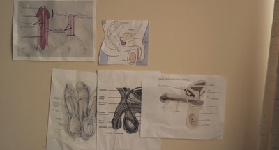少年收容所剧照的剧照