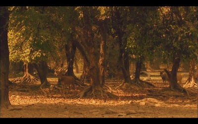 炉香赞佛剧照的剧照