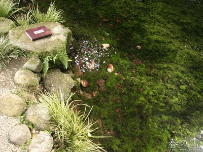 春雪剧照的剧照