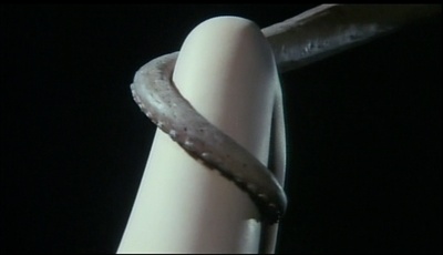 北斋漫画剧照的剧照