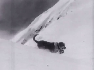 雪崩：白色的死亡剧照的剧照