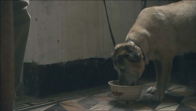 眼泪剧照的剧照