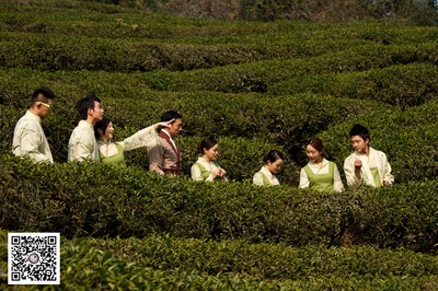 斗茶剧照的剧照