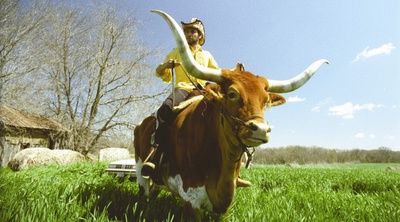 蓝月剧照的剧照