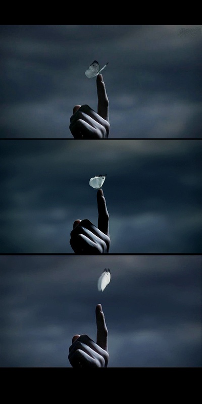 告白剧照的剧照