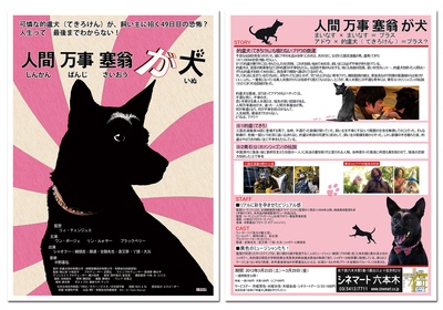 命运狗不理剧照的剧照