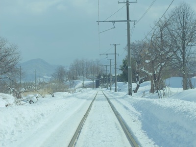 吾泳之夜剧照的剧照