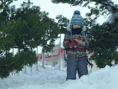 吾泳之夜剧照的剧照