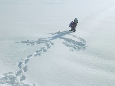 吾泳之夜剧照的剧照