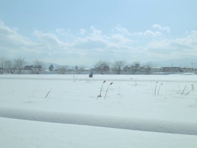 吾泳之夜剧照的剧照