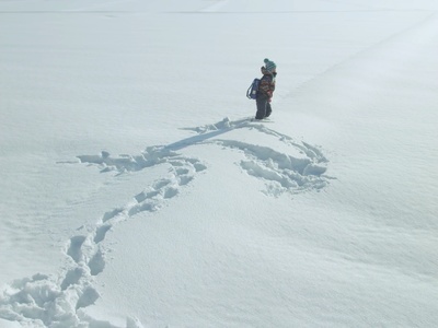 吾泳之夜剧照的剧照