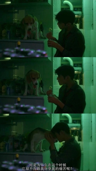 重庆森林剧照的剧照