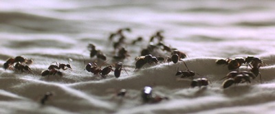 凶手就在门外剧照的剧照