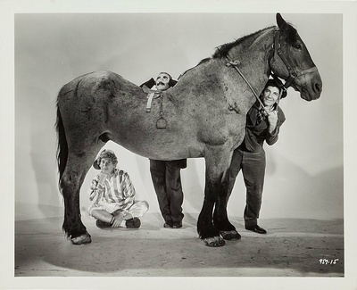 赌马风波剧照的剧照