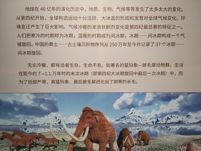 冰河世纪：猛犸象的圣诞剧照的剧照