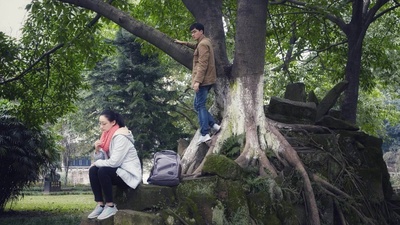 会考试的猛犸象剧照的剧照