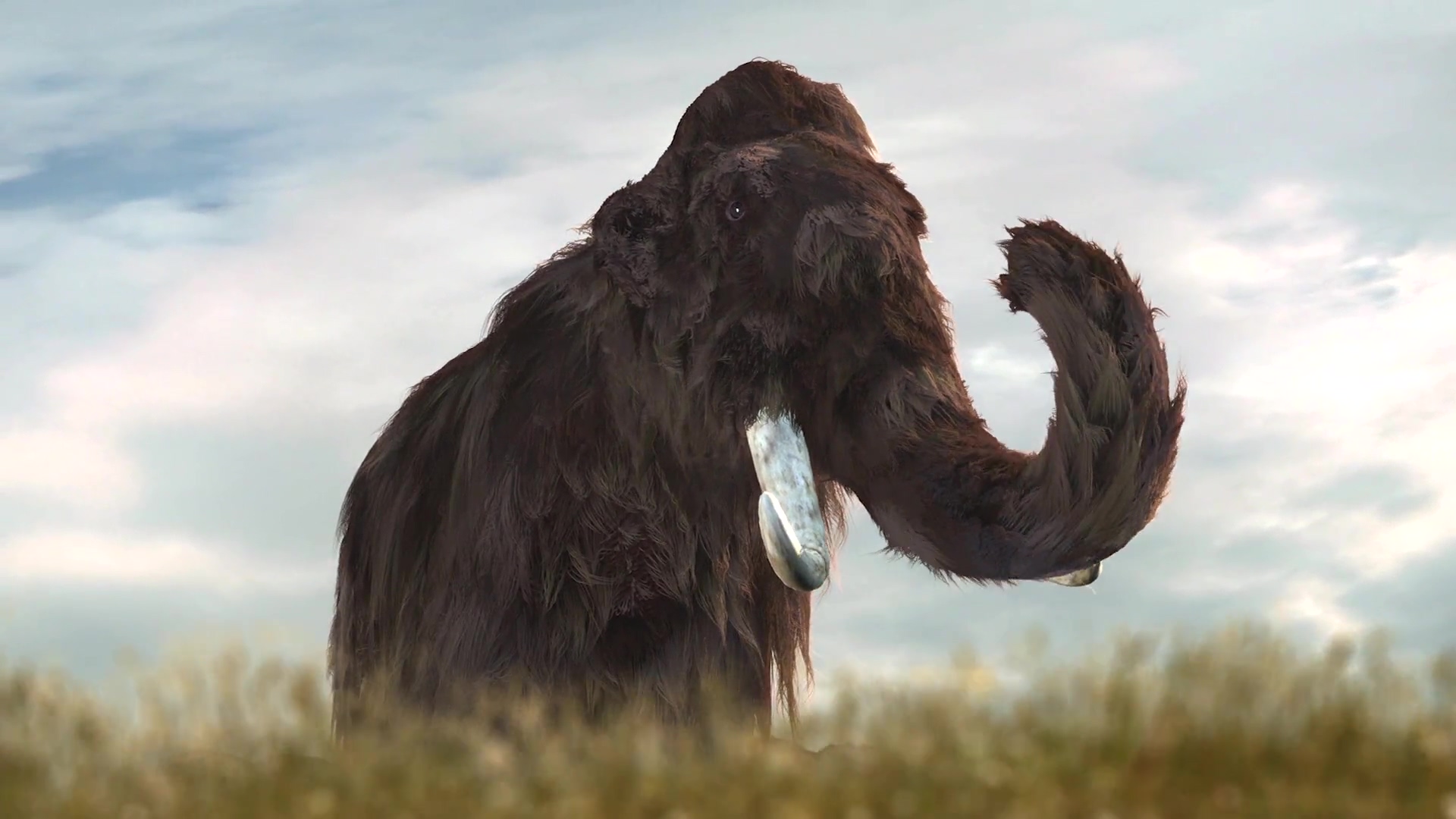 猛犸象：冰河世纪的巨兽剧照的剧照