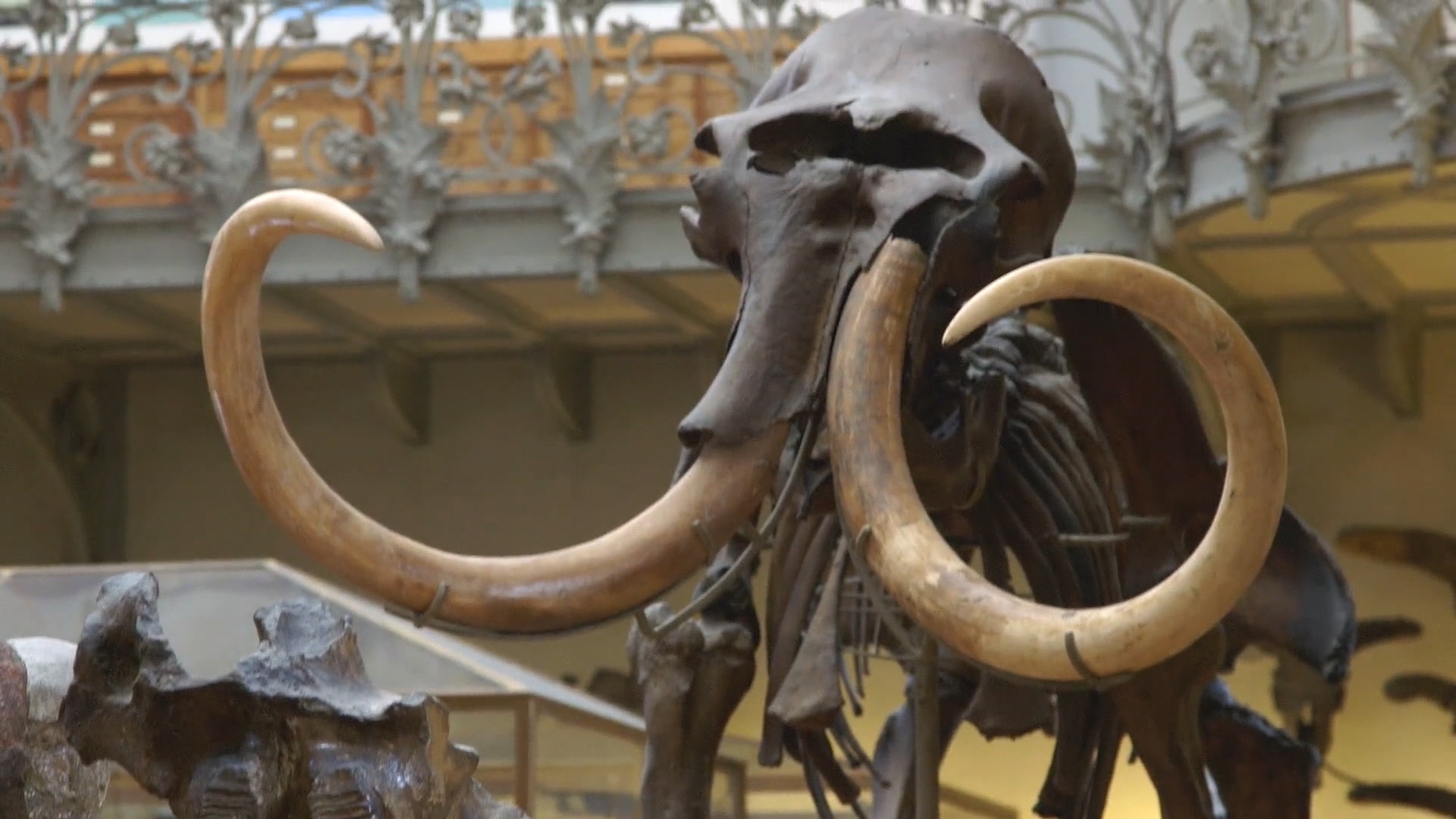 猛犸象：冰河世纪的巨兽剧照的剧照