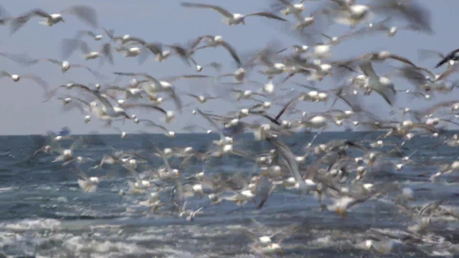 猛犸象：冰河世纪的巨兽剧照的剧照