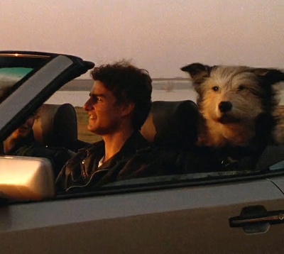 糖衣陷阱剧照的剧照