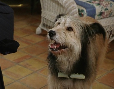 糖衣陷阱剧照的剧照