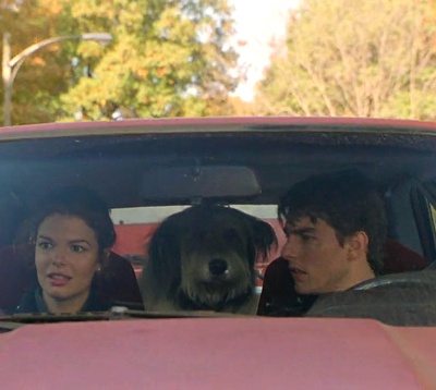 糖衣陷阱剧照的剧照