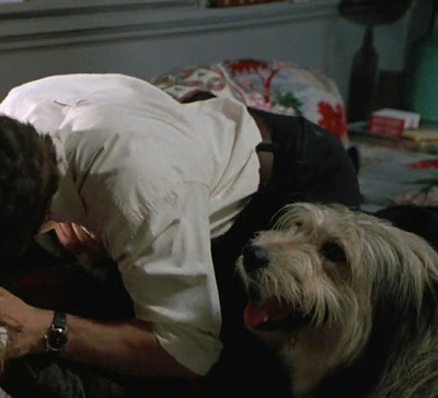 糖衣陷阱剧照的剧照