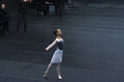 黑天鹅剧照的剧照