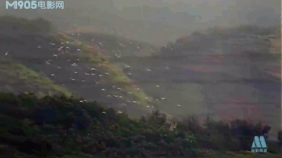 逃犯剧照的剧照