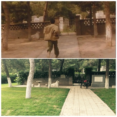 阳光灿烂的日子剧照的剧照