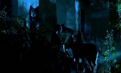 岁月无情剧照的剧照