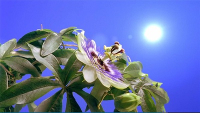 兴盛剧照的剧照