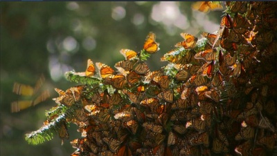 兴盛剧照的剧照