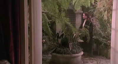 绿卡剧照的剧照