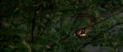 屋顶上的轻骑兵剧照的剧照