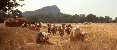 屋顶上的轻骑兵剧照的剧照