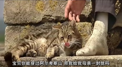 屋顶上的轻骑兵剧照的剧照